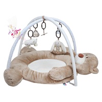 Luxury play blanket with melody PlayTo teddy bear