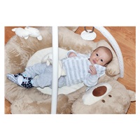 Luxury play blanket with melody PlayTo teddy bear