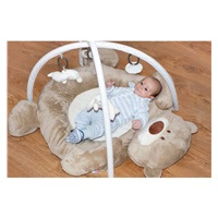 Luxury play blanket with melody PlayTo teddy bear