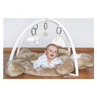 Luxury play blanket with melody PlayTo teddy bear