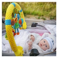 Baby Mix Mouse, Owl Stroller Toy