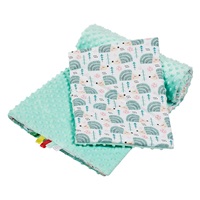 Reversible Minky Stroller Set New Baby Hedgehog Mint