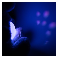 Teddy bear with projector Baby Mix blue