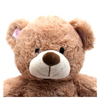 Teddy bear with projector Baby Mix pink