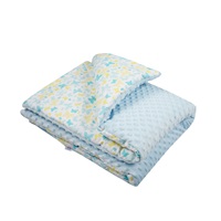 Baby blanket with filling New Baby blue 80x102 cm