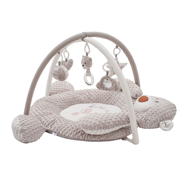 Luxury minky play blanket with melody PlayTo teddy bear