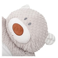 Luxury minky play blanket with melody PlayTo teddy bear