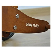 Kids multifunctional 2in1 Milly Mally JAKE Bob bike