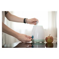 Electric bottle and baby food warmer with accessories Baby Mix green