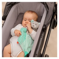 Teddy Bear Baby Mix mint
