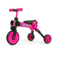 Baby tricycle 2in1 Milly Mally Grande blue