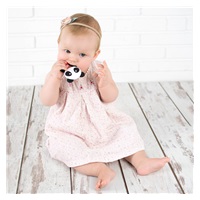 Baby silicone teether Akuku Panda