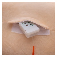 PlayTo striped teddy bear rocking toy