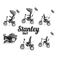 Kids tricycle 6in1 Milly Mally Stanley pink