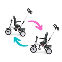 Kids tricycle 6in1 Milly Mally Stanley pink