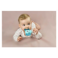 Silicone teether with rattle Akuku Elephant