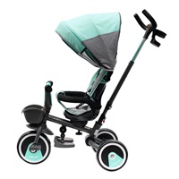 Baby Mix 5in1 RELAX 360° tricycle mint
