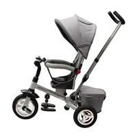 Baby Mix 3in1 tricycle TYPHOON 360° grey