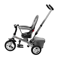 Baby Mix 3in1 tricycle TYPHOON 360° grey