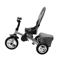 Baby Mix 3in1 tricycle TYPHOON 360° grey