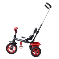 Baby Mix 5in1 RIDER 360° tricycle grey