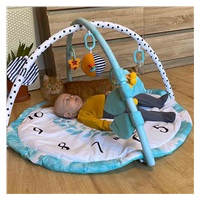 Play Blanket Baby Mix Months