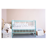 New Baby ELSA Zebra crib white and mint