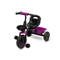 Children's tricycle Toyz LOCO purple