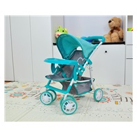 Milly Mally Kate Prestige Mint Sports Stroller for Dolls