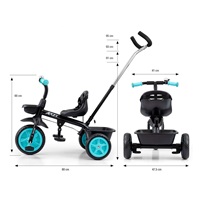 Milly Mally Axel tricycle black