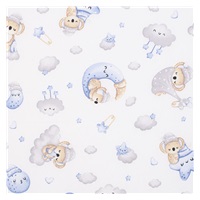 New Baby STANDARD foam mattress 120x60x6 cm koala blue