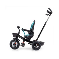 Children‘s tricycle Milly Mally Movi black-mint