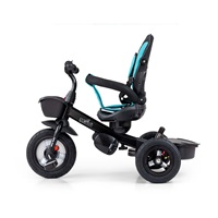 Children‘s tricycle Milly Mally Movi black-mint