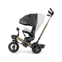 Children‘s tricycle Milly Mally Movi gold