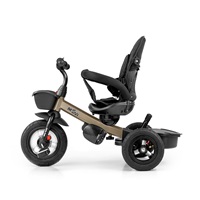 Children‘s tricycle Milly Mally Movi gold
