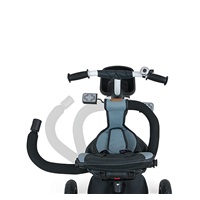 Children‘s tricycle Milly Mally Movi gold