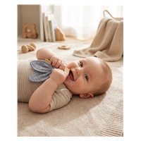 Baby teether New Baby Bird grey