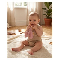 Baby teether New Baby Ears pink