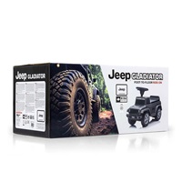 Jeep Rubicon Gladiator Milly Mally grey