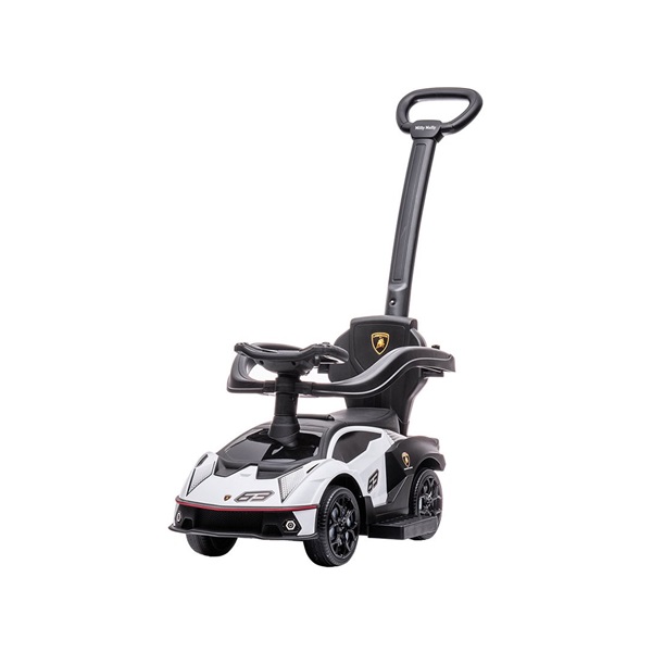 LAMBORGHINI ESSENZA SC V12 Milly Mally white