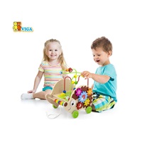 Wooden Educational Hedgehog 4in1 Viga