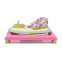 Milly Mally Patrol Flower Baby Walker