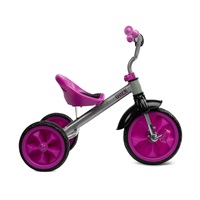 Children‘s tricycle Toyz York purple