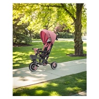 Baby Mix 5in1 RELAX 365° tricycle pink