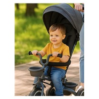 Baby Mix 5in1 RELAX 365° tricycle grey