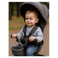 Baby Mix 5in1 RELAX 365° tricycle grey