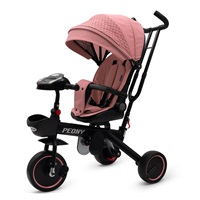 Baby Mix Peony EVA Pink Children's Tricycle