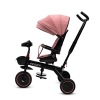 Baby Mix Peony EVA Pink Children‘s Tricycle