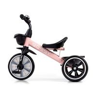 Baby Bike tricycle Milly Mally Bobby Pink
