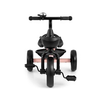 Baby Bike tricycle Milly Mally Bobby Pink